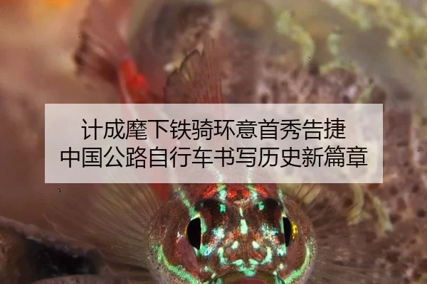 ji-cheng-hui-xia-tie-qi-huan-yi-shou-xiu-gao-jie-zhong-guo-gong-lu-zi-xing-che-shu-xie-li-shi-xin-pian-zhang-2-467.jpg